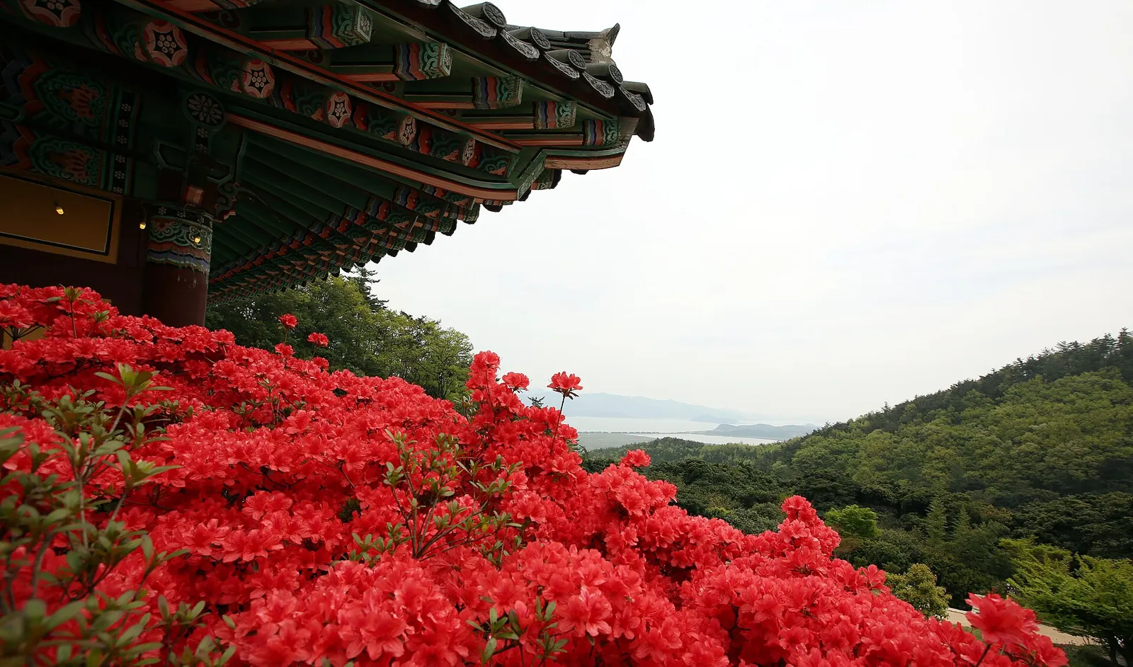 강진군 풍경 · 강진 마케팅 · 광고대행